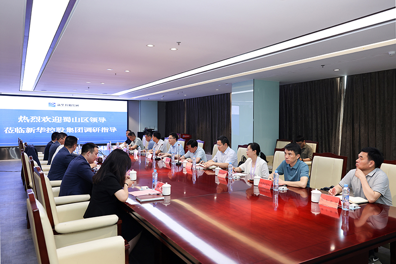 合肥市蜀山區委副書記、區長楊森一行深入新華控股集團調研指導